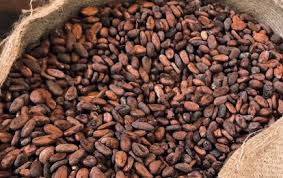 Ondo Govt cracks down on cocoa adulteration 
